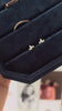 sanity:Lunette Studs